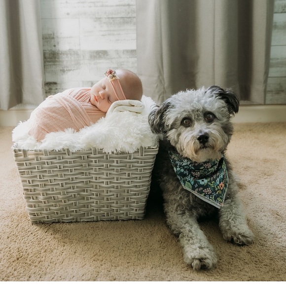 Meet your Posh Ambassador โค๏ธ๐๐๐๐ - Picture 2 of 16